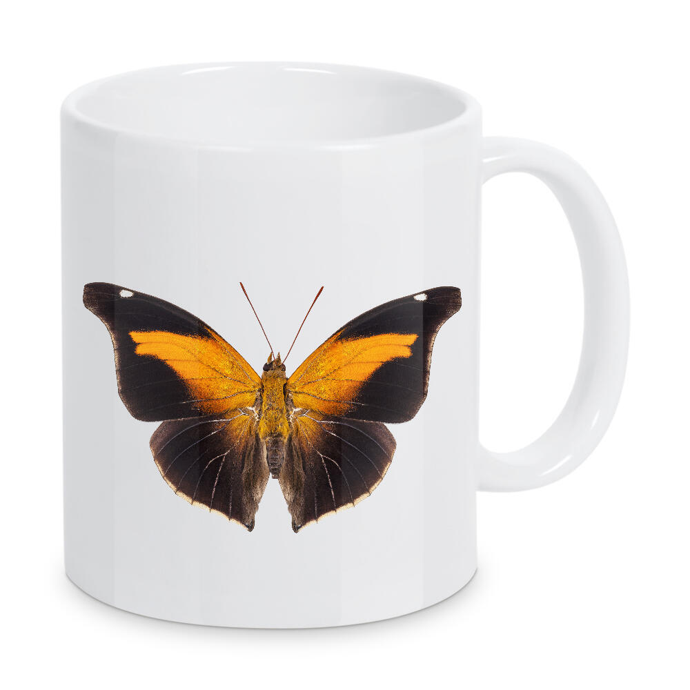 Tasse "Butterfly species Historis" artboxONE - Natur,Tiere