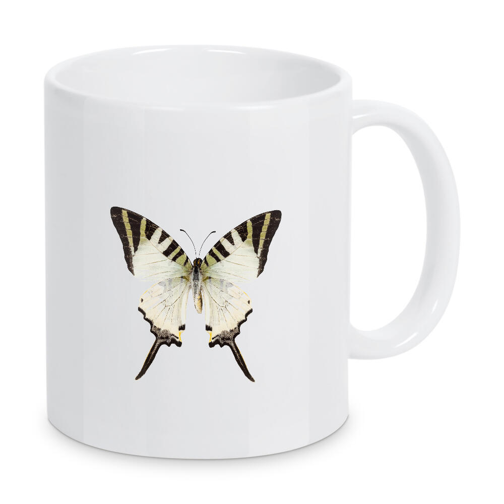Tasse "Butterfly species Graphium-p" artboxONE - Natur,Tiere