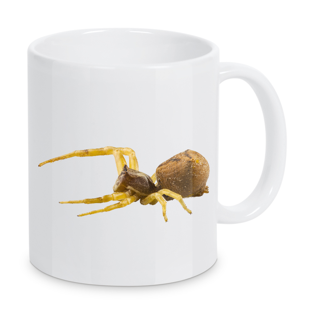 Tasse "Goldenrod crab spider" artboxONE - Natur,Tiere - Insect,Animals,High resolution,Photography,Flying,Color,Colorful,Spider,Nature,Spinne,Insekt