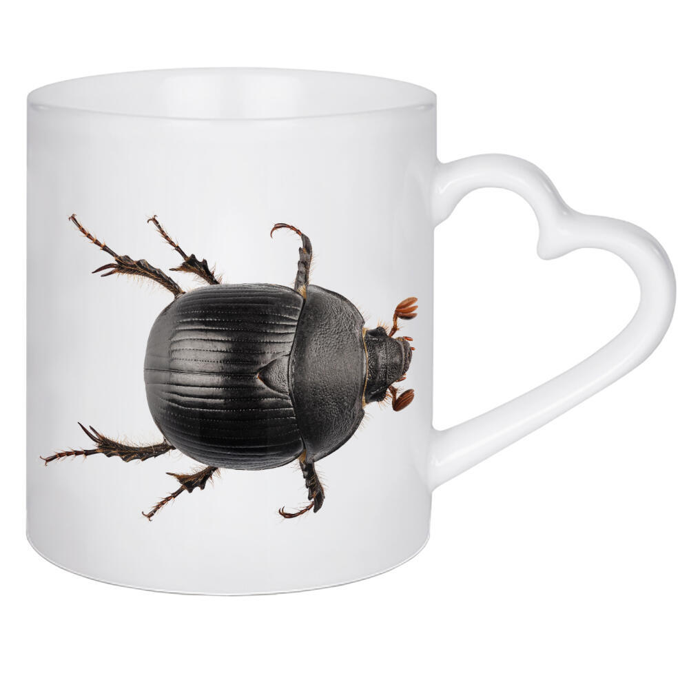 Herztasse "Earth-boring dung beetle" artboxONE - Natur,Tiere - Insect,Animals,High resolution,Photography,Flying,Color,Colorful,Nature,Insekt