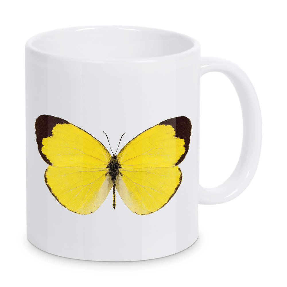 Tasse "Butterfly species Eurema" artboxONE - Natur,Tiere