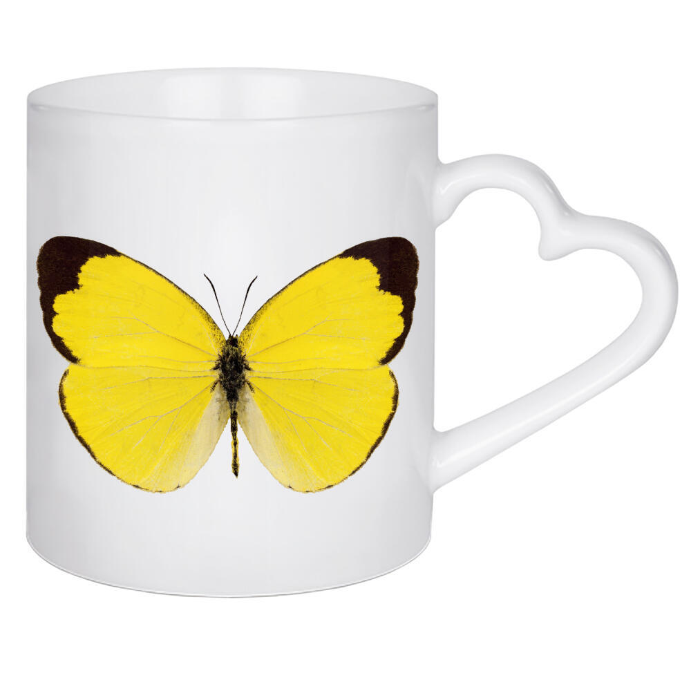 Herztasse "Butterfly species Eurema" artboxONE - Natur,Tiere