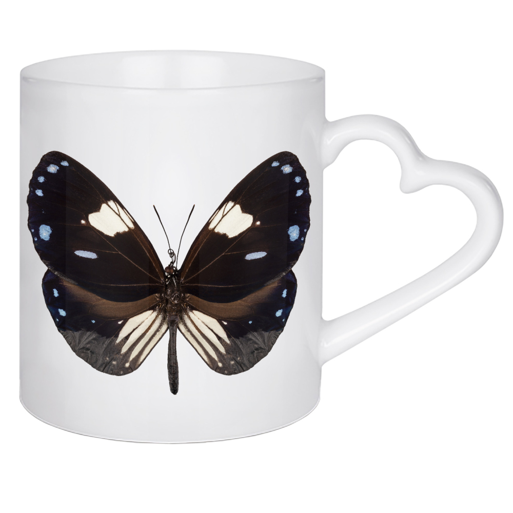 Herztasse "Butterfly species Euploea" artboxONE - Natur,Tiere
