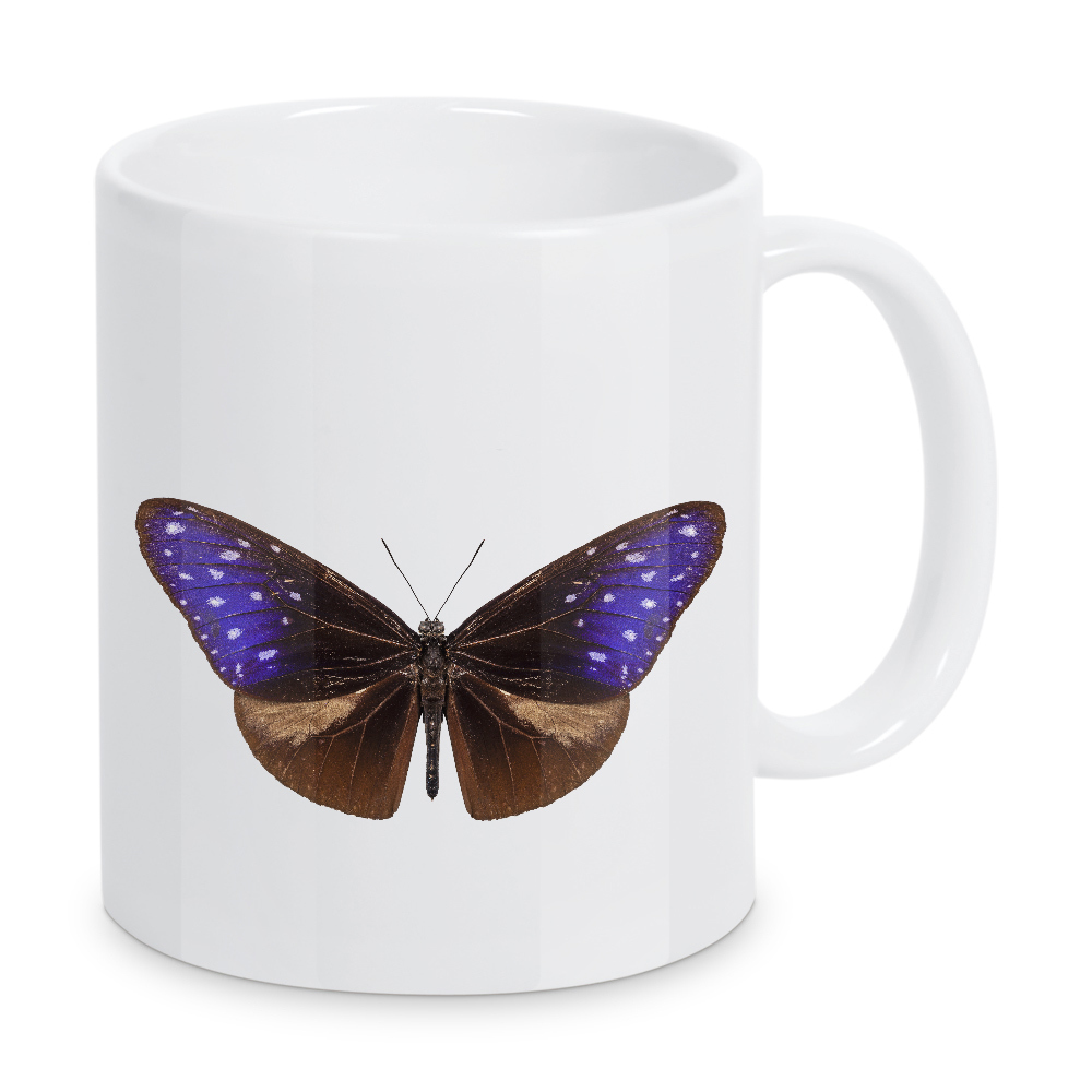 Tasse "Bunter Schmetterling" artboxONE - Natur,Tiere - Insekt,Schmetterling,Tiere,Hohe auflösung,Fotografie,Fliegen,Farbe,Bunt,Natur