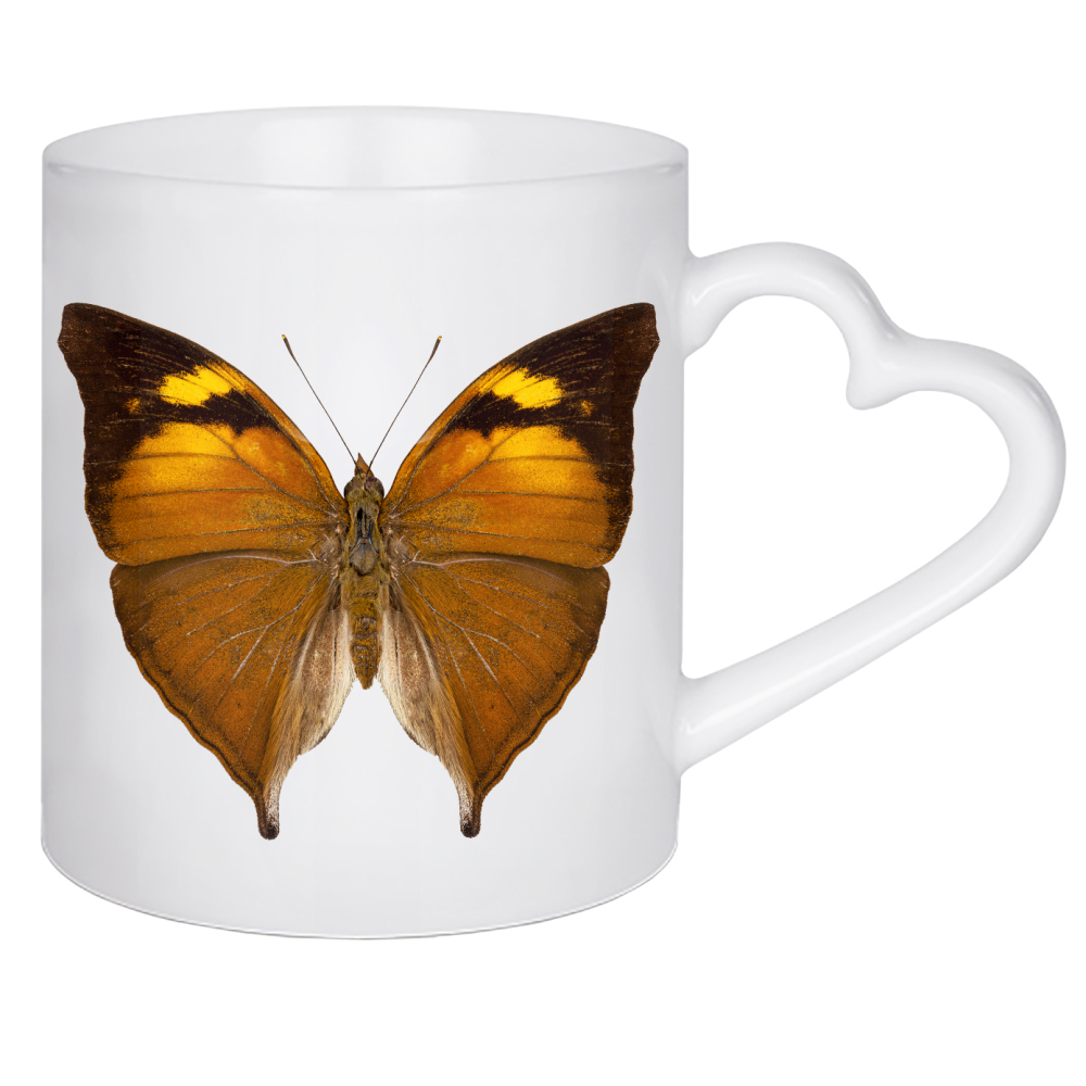 Herztasse "Schmetterlingsart Doleschallia" artboxONE - Natur,Tiere - Insekt,Schmetterling,Tiere,Hohe auflösung,Fotografie,Fliegen,Bunt,Natur