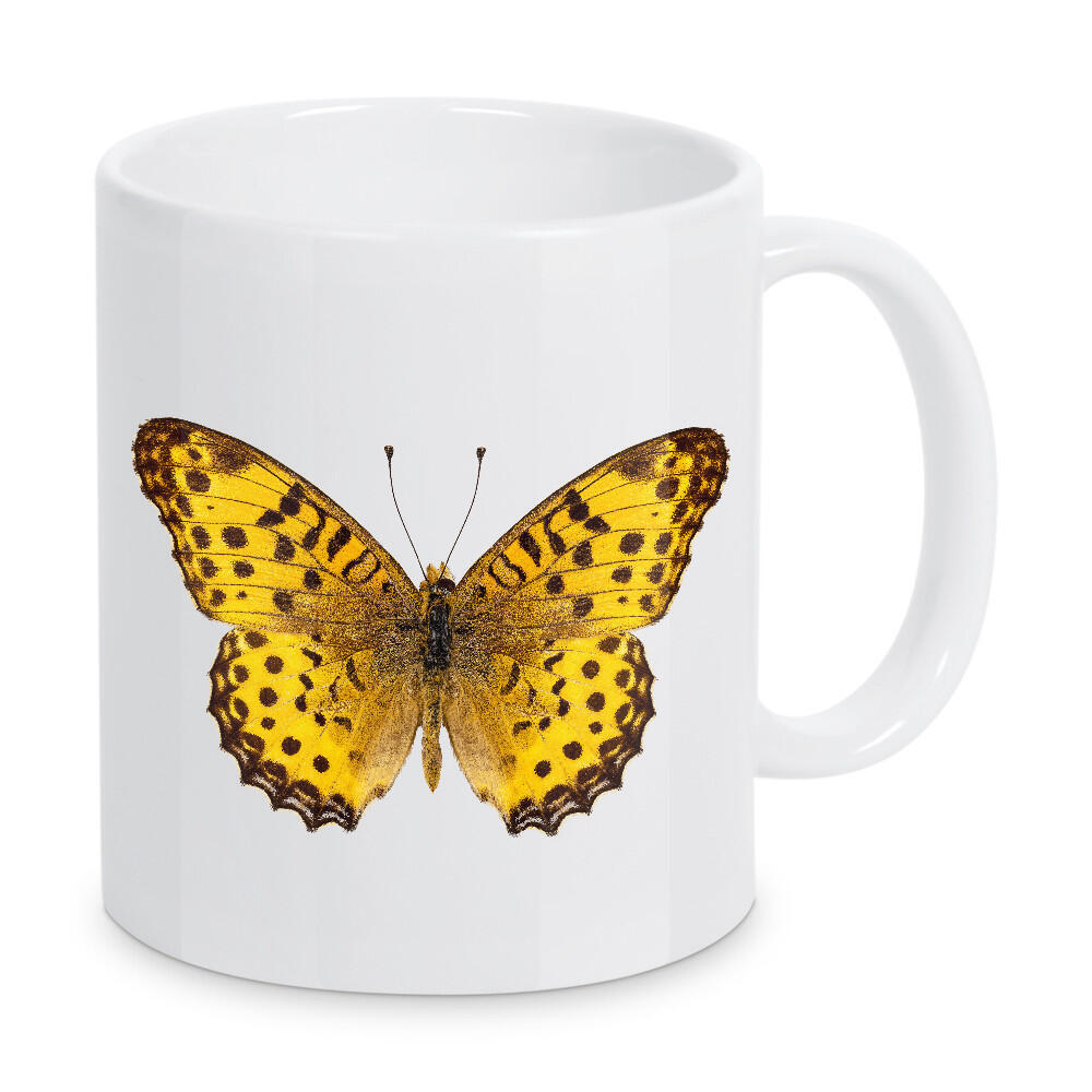 Tasse "Butterfly species Argynnis" artboxONE - Natur,Tiere - Insekt,Schmetterling,Tiere,Hohe auflösung,Fotografie,Fliegen,Bunt,Natur
