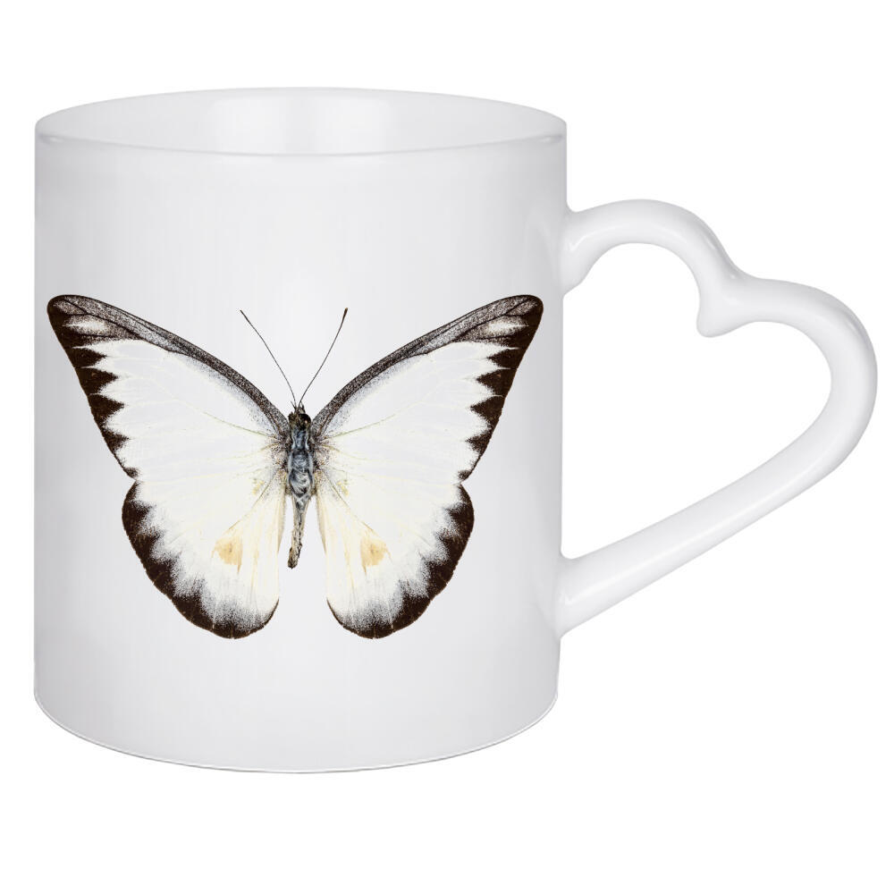 Herztasse "White butterfly species Appias" artboxONE - Natur,Tiere - Insekt,Schmetterling,Tiere,Hohe auflösung,Fotografie,Fliegen,Bunt,Natur