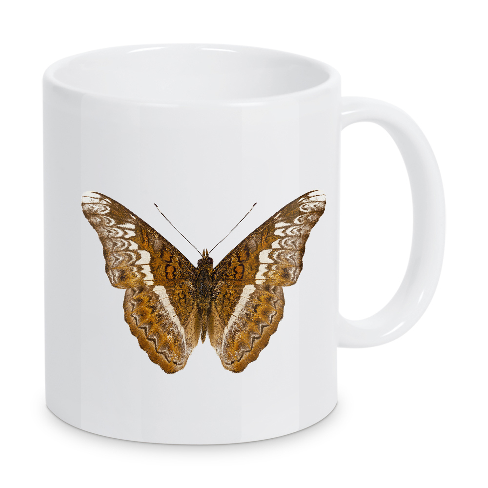 Tasse "Admiral-Limoniten-Schmetterling" artboxONE - Natur,Tiere - Insekt,Schmetterling,Tiere,Hohe auflösung,Fotografie,Fliegen,Bunt,Natur