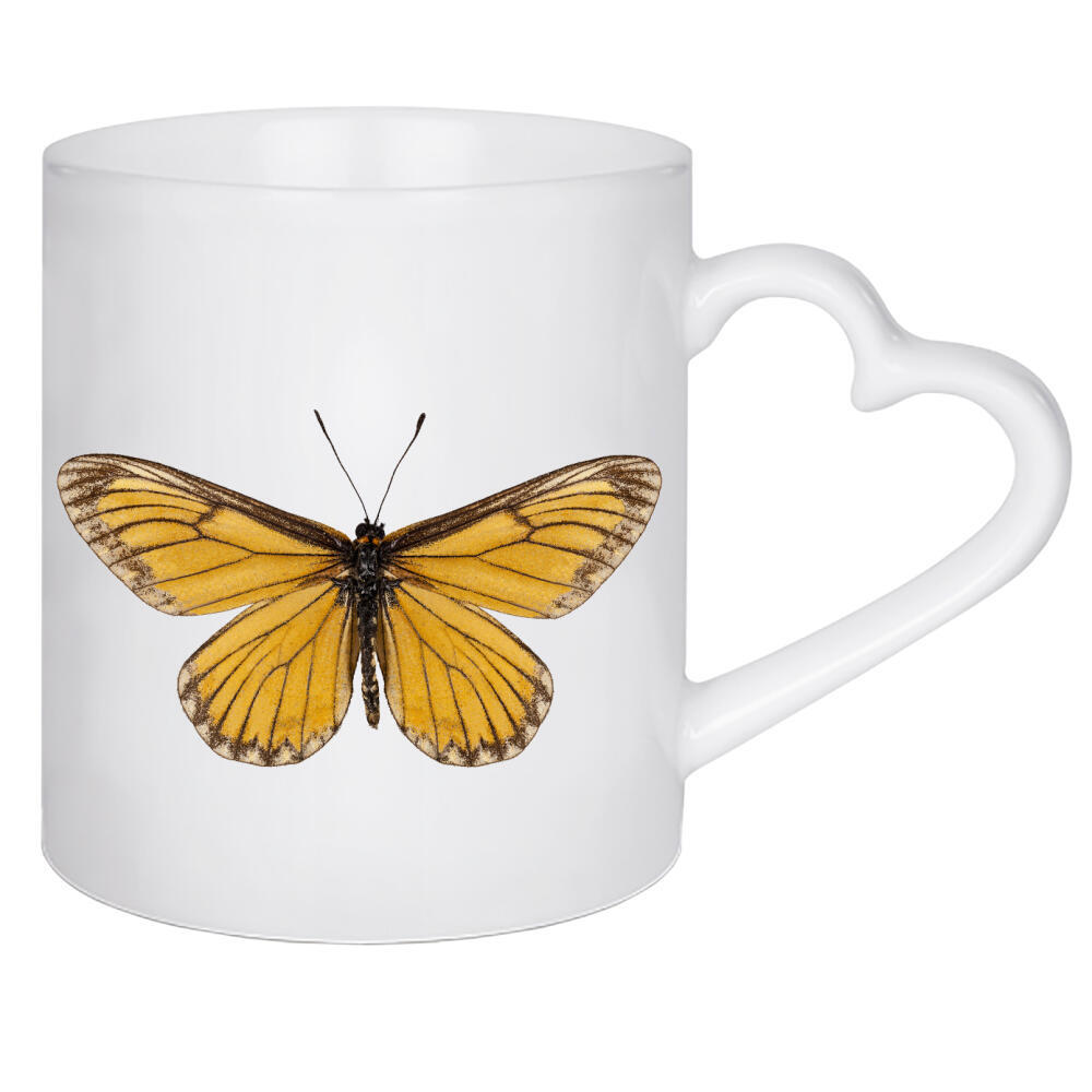 Herztasse "Butterfly species Acraea issoria" artboxONE - Natur,Tiere