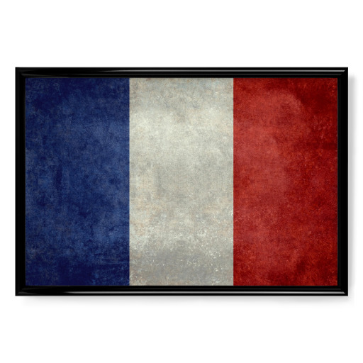 Flag of France