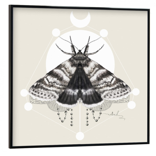 Poster mit schwarzem Rahmen 30x30 cm "Moth" artboxONE - Tiere,Retro - Motte,Perlen,Klee,Kleiderschrank