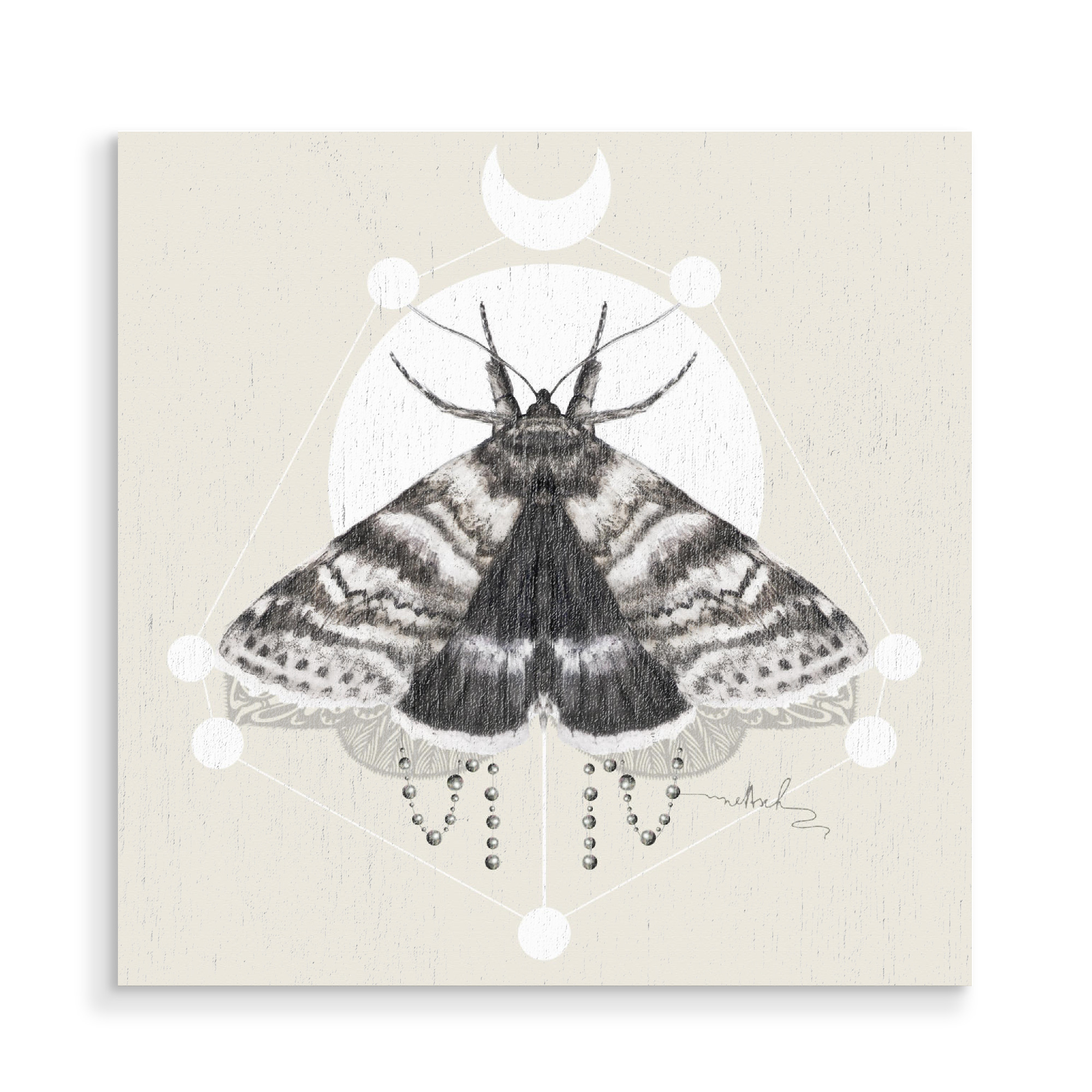 Holzbild "Moth" artboxONE - Tiere,Retro - Motte,Perlen,Klee,Kleiderschrank