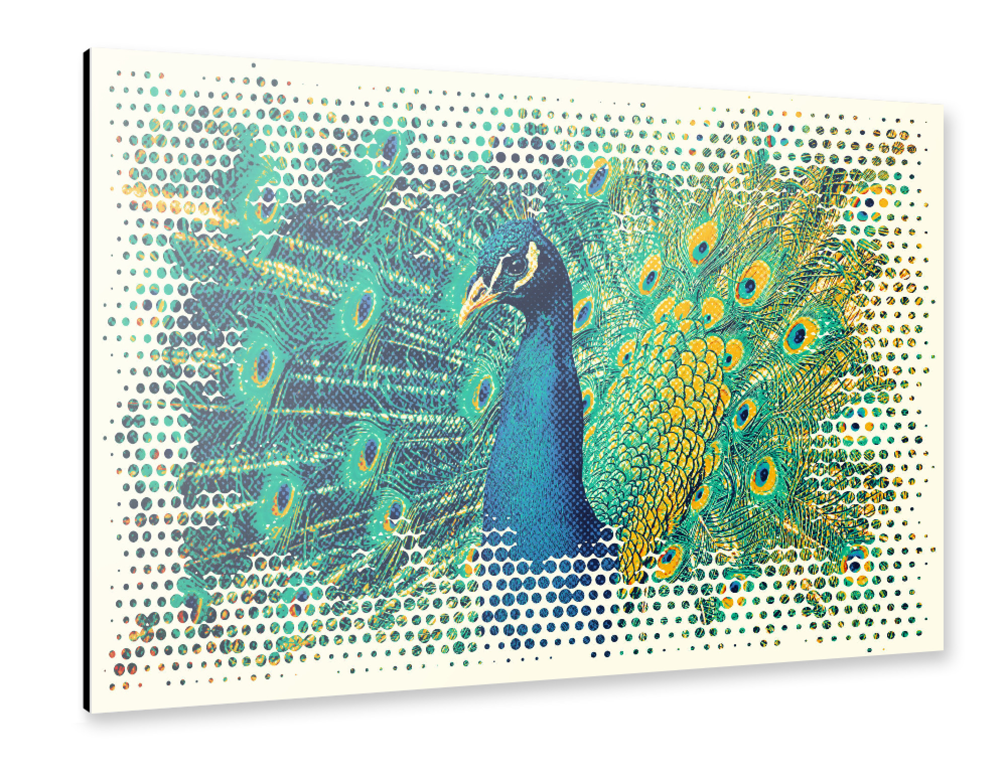 Alu-Dibond "Peacock Art" 30x20 cm artboxONE