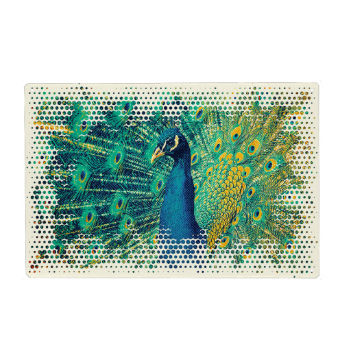 Peacock Art