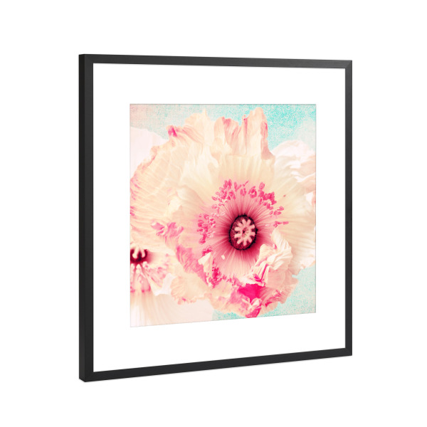 Poster mit Rahmen Schwarz (Metallic) "Pastell Poppy" artboxONE - Natur,Floral,Für Mama
