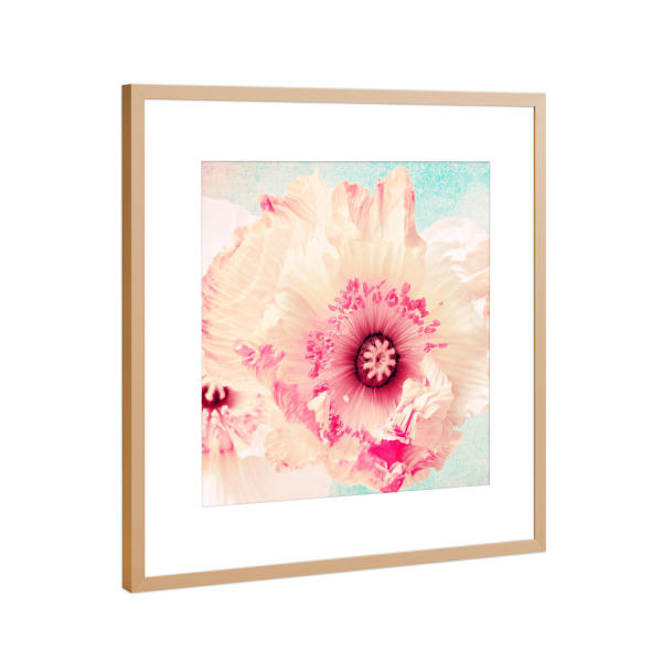 Poster mit Rahmen Kupfer "Pastell Poppy" artboxONE - Natur,Floral,Für Mama