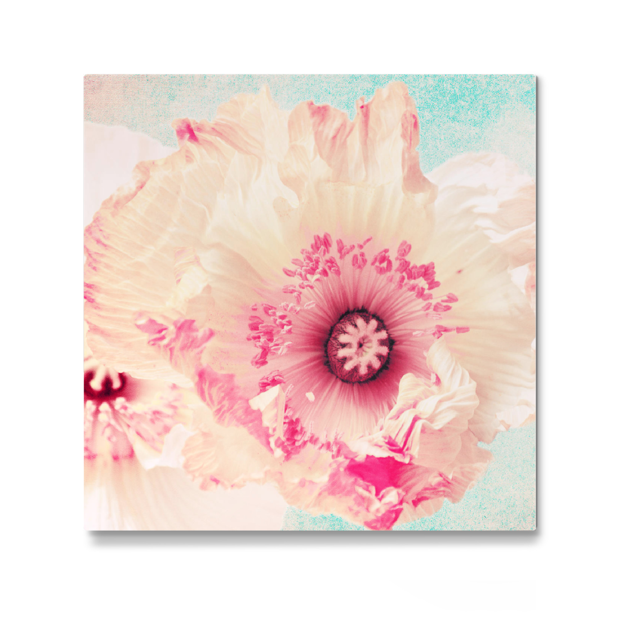 Galerie-Print "Pastell Poppy" 30x30 cm artboxONE