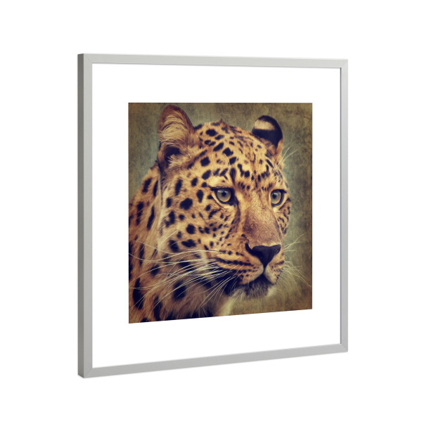 Poster mit Rahmen Silber "Leopard Portrait" artboxONE - Tiere - Leopard,Raubtier,Raubkatze,Wildes tier,Säugetier,Digitale malerei,Tierportrait,Katze
