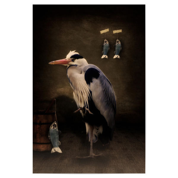 Poster "Herons home" artboxONE - Tiere,Fiktion,Lustig - Vogel,Fischreiher,Fisch,Tierportrait,Composing,Vogelportrait,Lustig