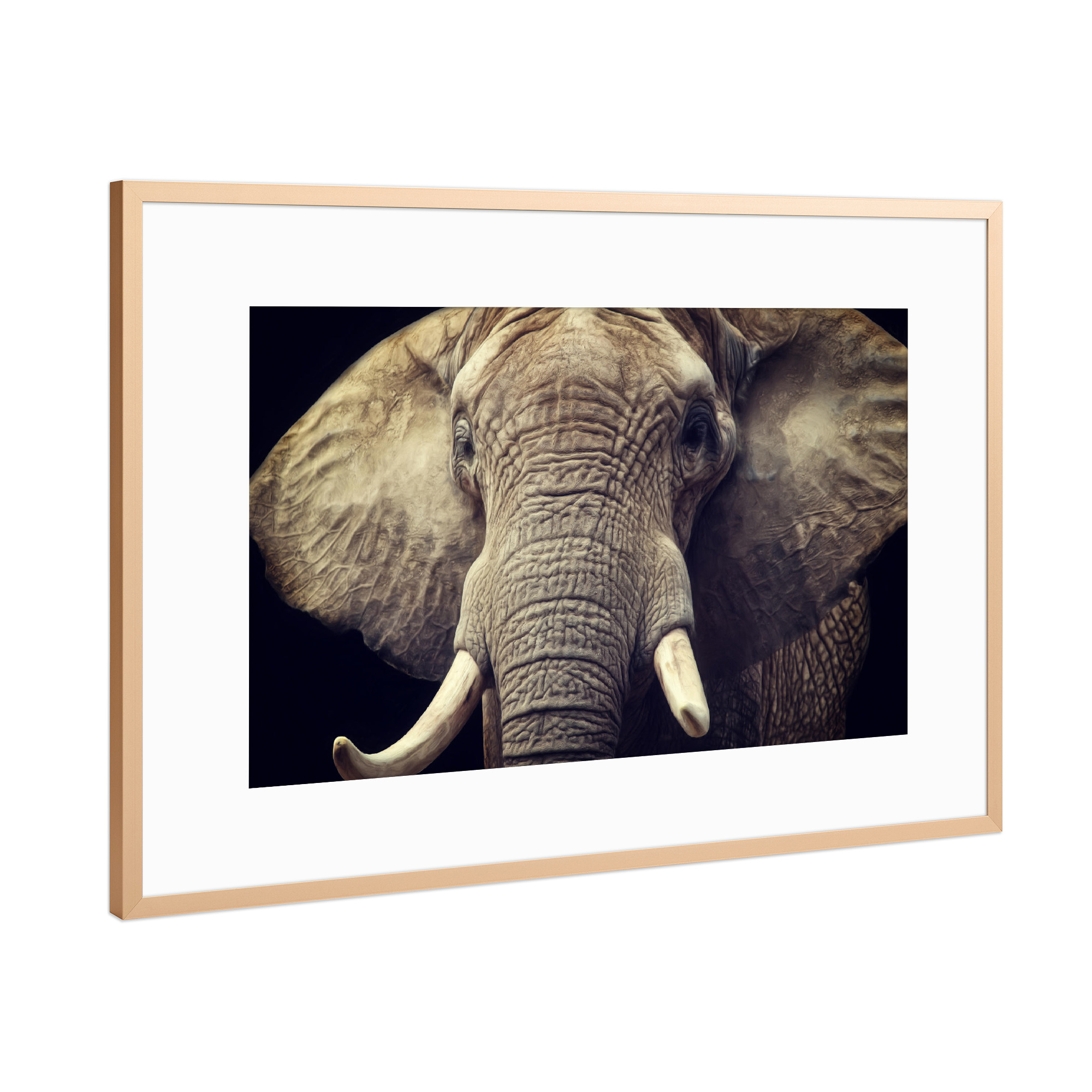 Poster mit Rahmen Kupfer "Elefanten Portrait" artboxONE - Tiere,Reise / Afrika,Männer