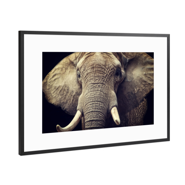 Poster mit Rahmen Schwarz (Metallic) "Elefanten Portrait" artboxONE - Tiere,Reise / Afrika,Männer