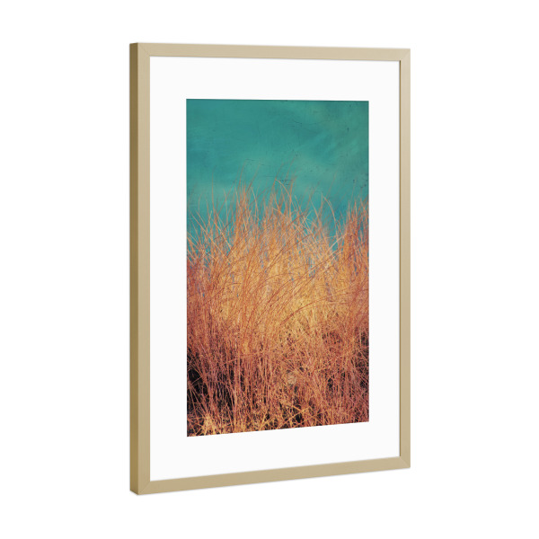 Poster mit Rahmen Gold "Dune grass" artboxONE - Natur,Reise / Strand und Meer - Dünen,Meer,Strand,Retrostyle,Dünengras,Vintage,Abstrakt,Natur,Nordsee