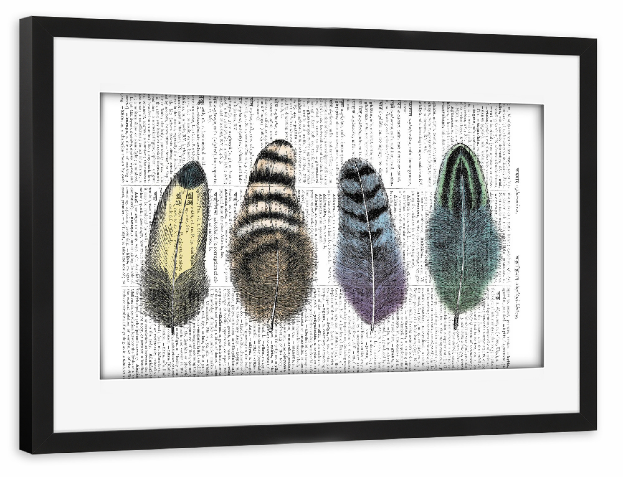 Poster mit Rahmen schwarz "Feathers" artboxONE - Tiere,Schwarzweiß,Retro