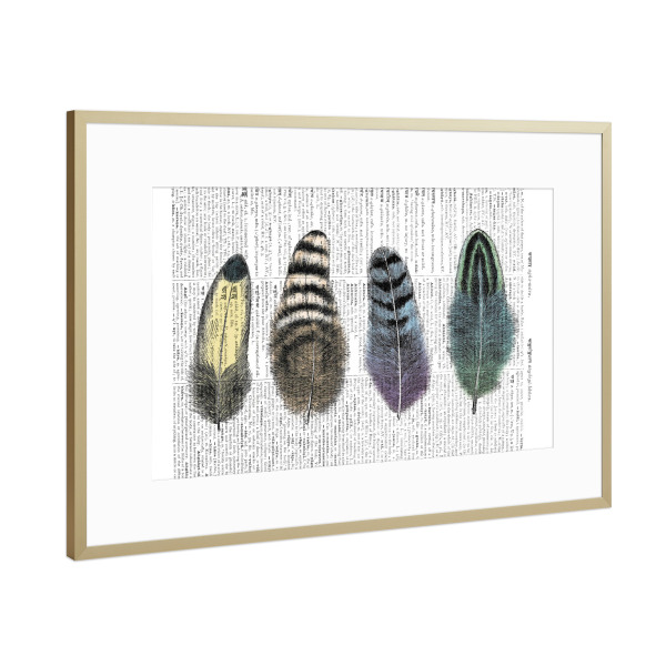 Poster mit Rahmen Gold "Feathers" artboxONE - Tiere,Schwarzweiß,Retro
