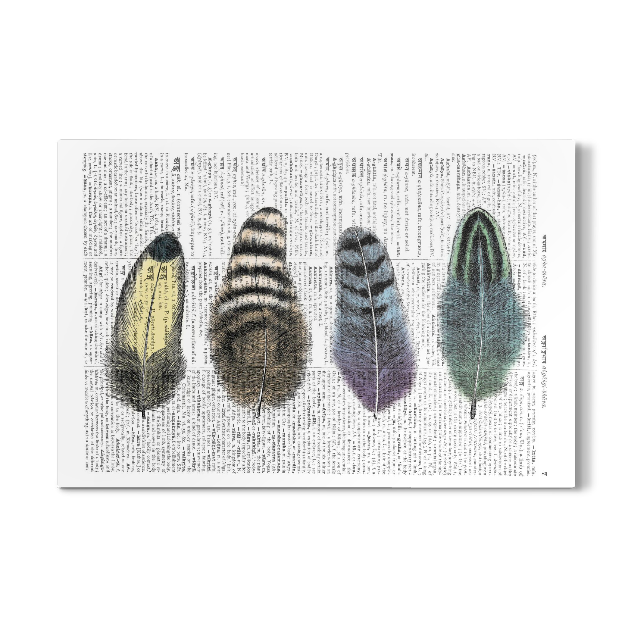 Galerie-Print "Feathers" 75x50 cm artboxONE