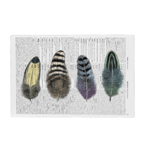 Feathers