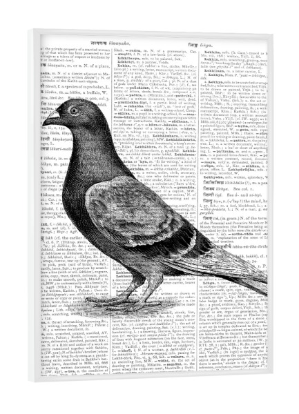 Poster mit weißem Rahmen "Love Dove" artboxONE - Tiere,Schwarzweiß,Liebe,Retro,Fiktion