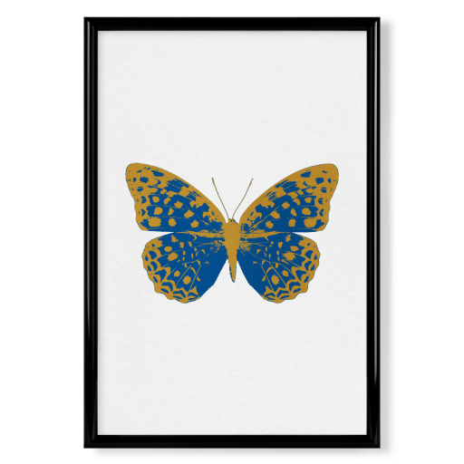 Gold and Blue Butterfly