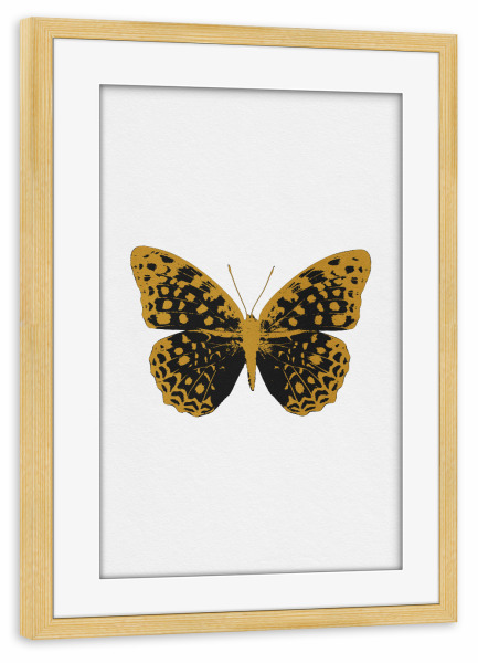 Poster mit Rahmen kiefer "Gold and Black Butterfly" artboxONE - Natur,Tiere,Abstrakt