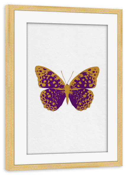 Poster mit Rahmen kiefer "Gold and Purple Butterfly" artboxONE - Natur,Tiere