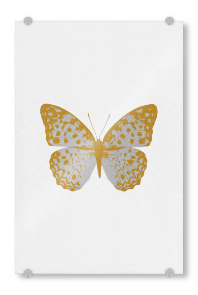 Acrylglasbild "Gold and Silver Butterfly" artboxONE - Natur,Tiere,Abstrakt
