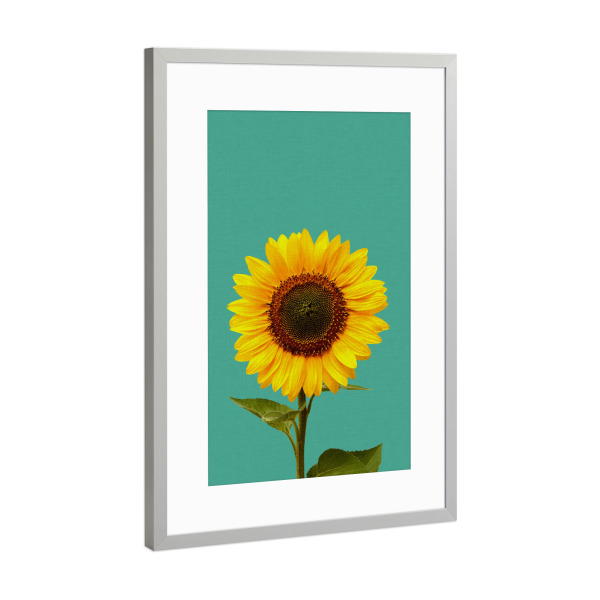 Poster mit Rahmen Silber "Sunflower" artboxONE - Natur,Floral,Abstrakt
