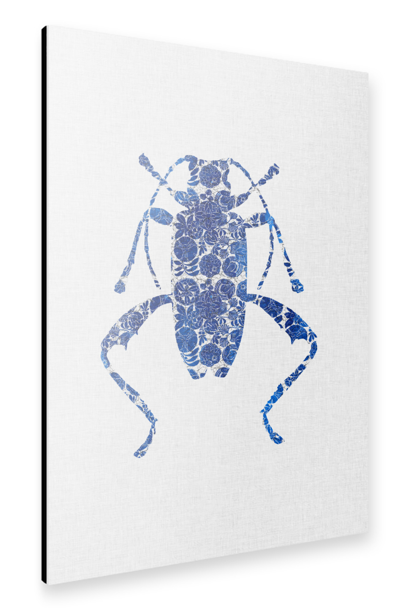 Alu-Dibond "Blue Beetle II" 75x50 cm artboxONE