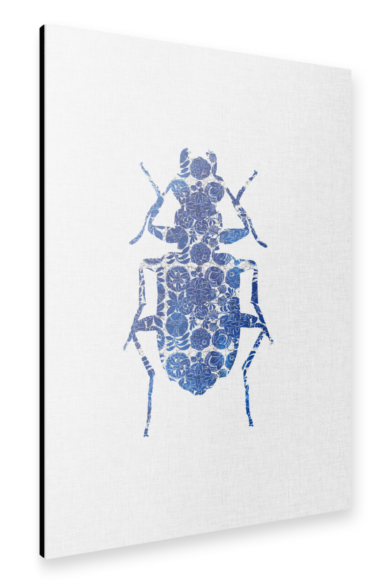 Alu-Dibond "Blue Beetle I" 30x20 cm artboxONE