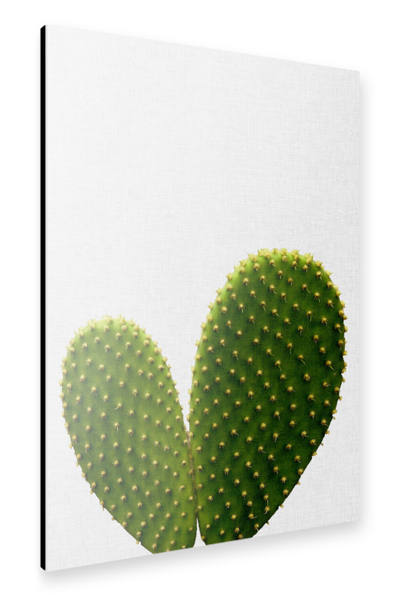 Alu-Dibond "Cactus Heart" 30x20 cm artboxONE