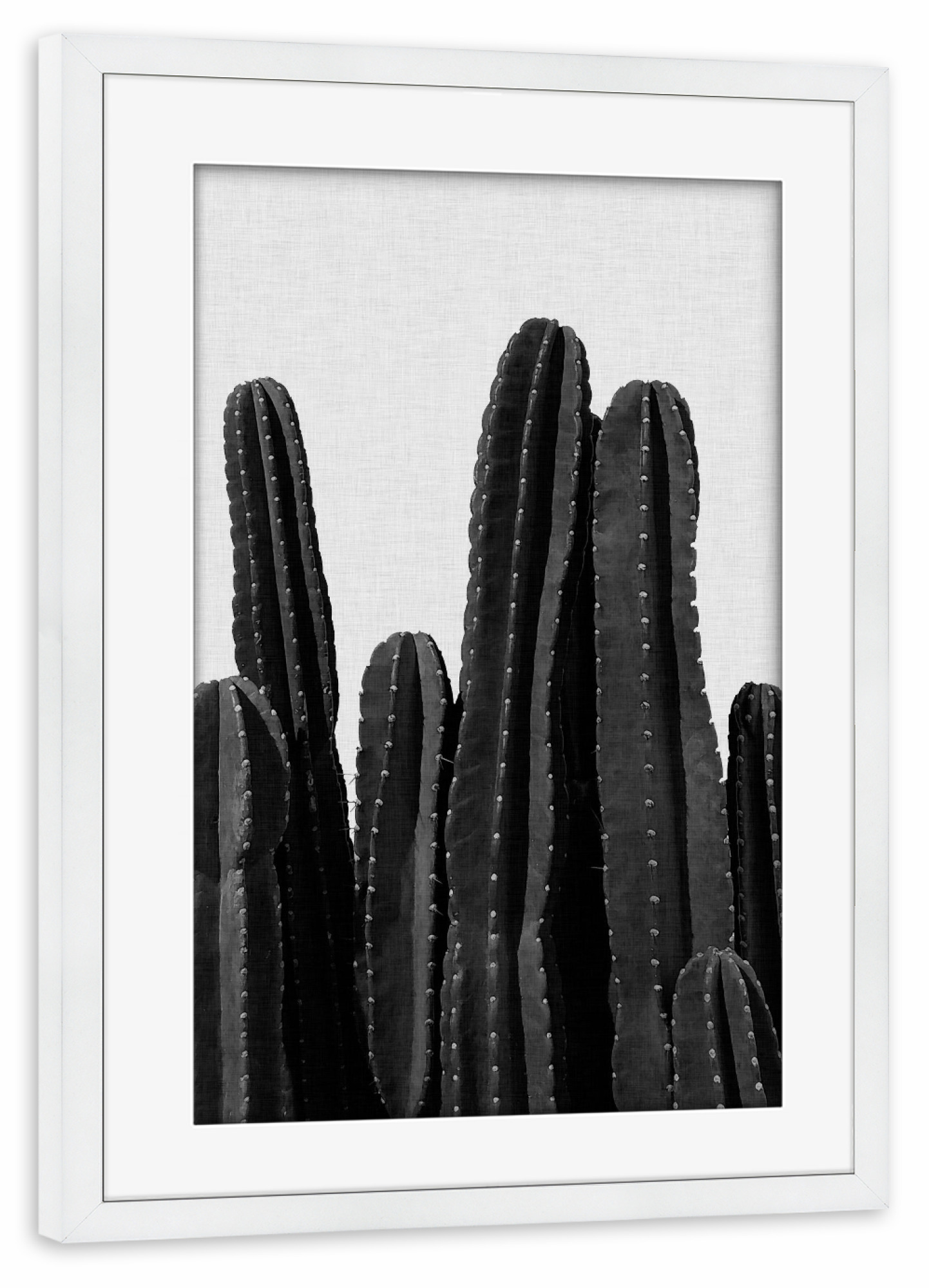 Poster mit Rahmen weiß "Cactus Crowd Black White" artboxONE - Natur,Abstrakt,Schwarzweiß
