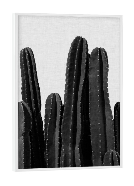 Poster mit weißem Rahmen "Cactus Crowd Black White" artboxONE - Natur,Abstrakt,Schwarzweiß