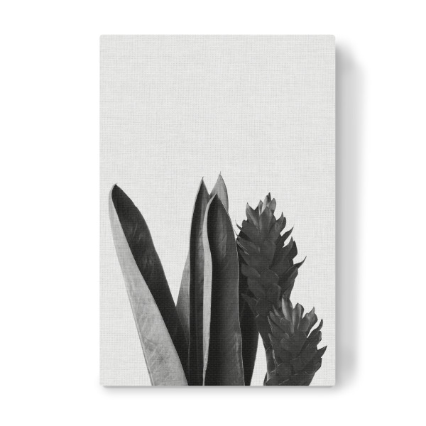 Leinwandbild "Tropical Blossom II Black White" artboxONE - Natur,Floral,Schwarzweiß