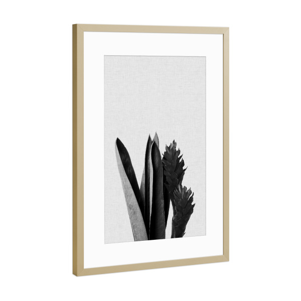 Poster mit Rahmen Gold "Tropical Blossom II Black White" artboxONE - Natur,Floral,Schwarzweiß
