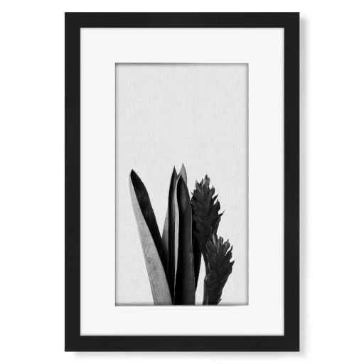 Tropical Blossom II Black White