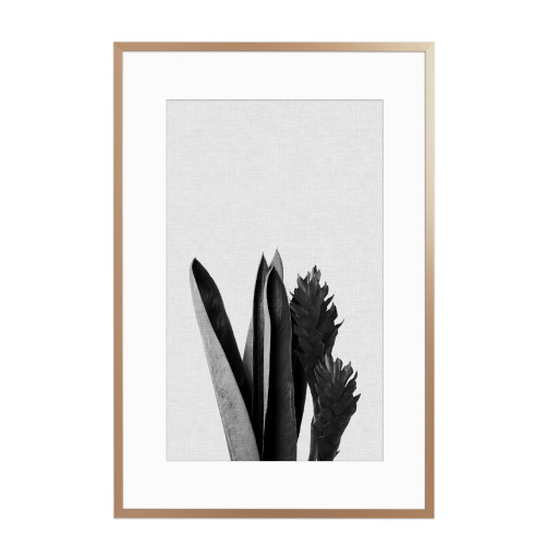 Tropical Blossom II Black White