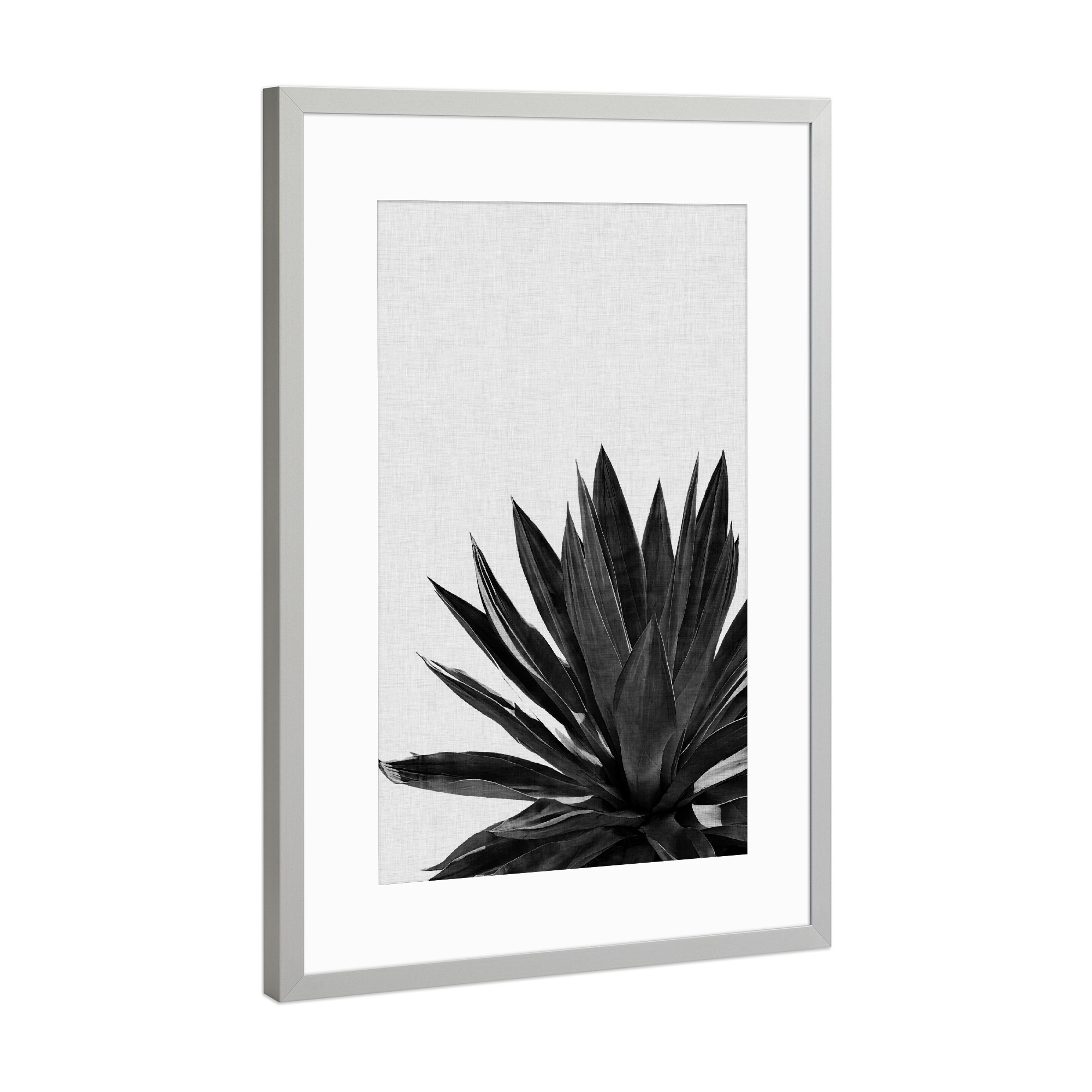 Poster mit Rahmen Silber "Ginkgo Palm Black White" artboxONE - Natur,Floral,Schwarzweiß