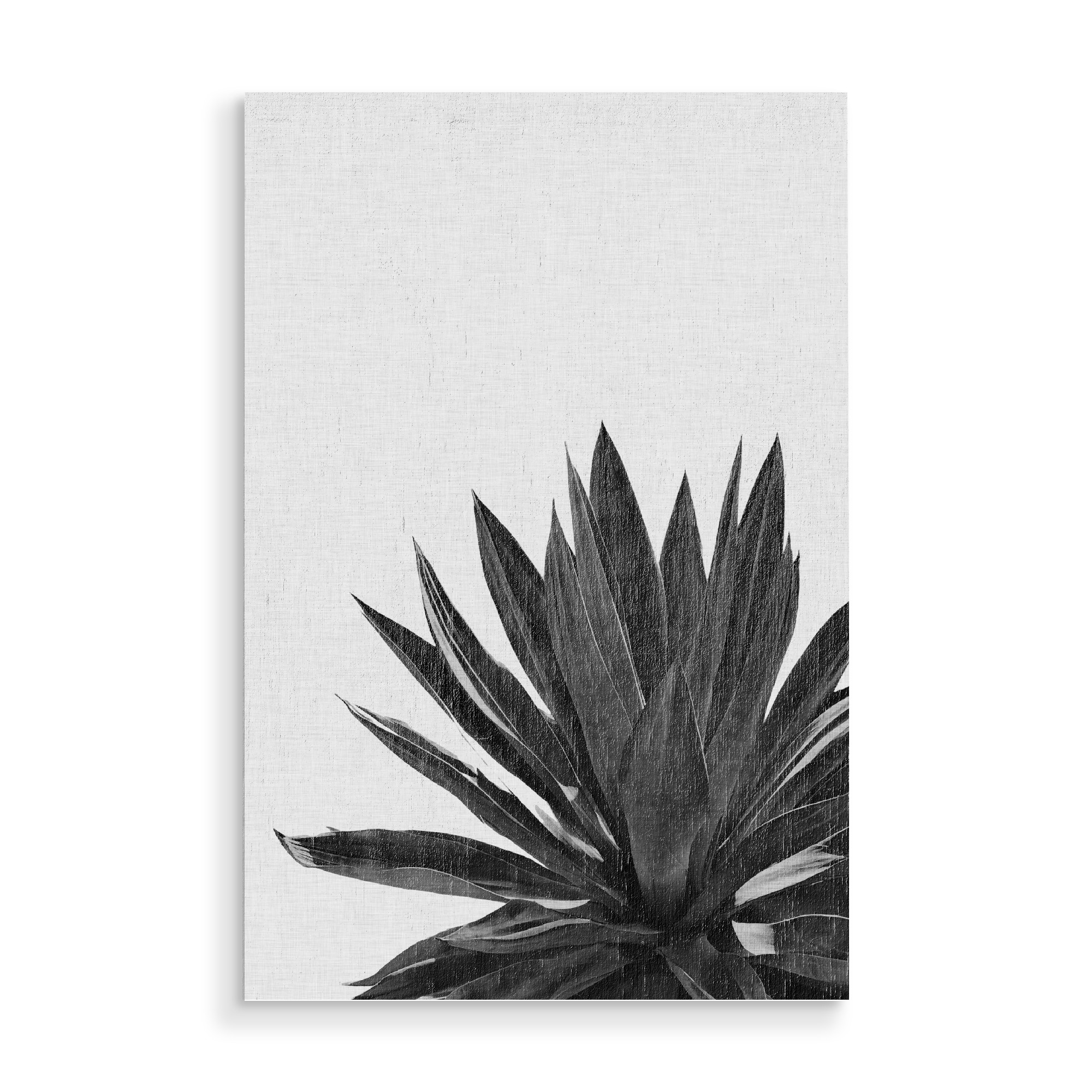 Holzbild "Ginkgo Palm Black White" artboxONE - Natur,Floral,Schwarzweiß