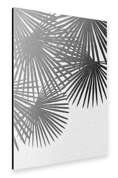 Alu-Dibond "Fan Palm II Black White" 30x20 cm artboxONE