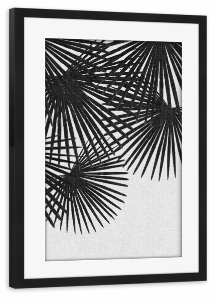 Poster mit Rahmen schwarz "Fan Palm II Black White" artboxONE - Natur,Floral,Schwarzweiß