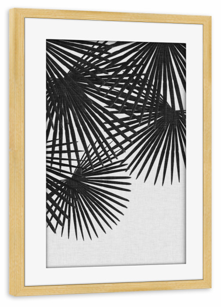 Poster mit Rahmen kiefer "Fan Palm II Black White" artboxONE - Natur,Floral,Schwarzweiß